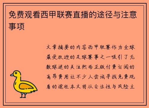 免费观看西甲联赛直播的途径与注意事项