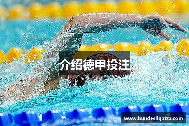介绍德甲投注
